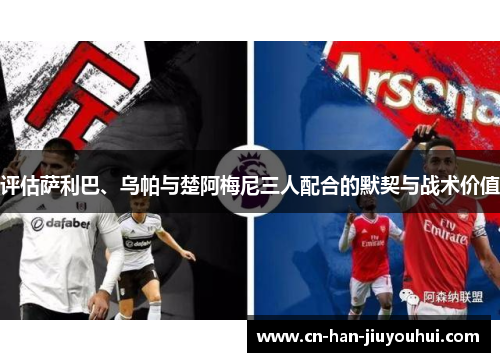 评估萨利巴、乌帕与楚阿梅尼三人配合的默契与战术价值