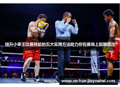 提升小拳王比赛技能的五大实用方法助力你在赛场上脱颖而出