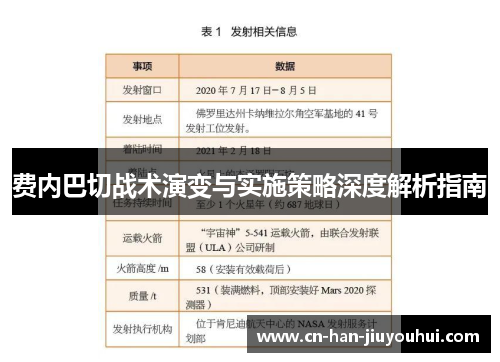 费内巴切战术演变与实施策略深度解析指南