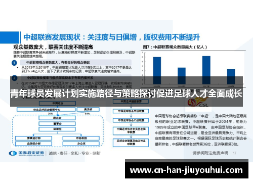 青年球员发展计划实施路径与策略探讨促进足球人才全面成长